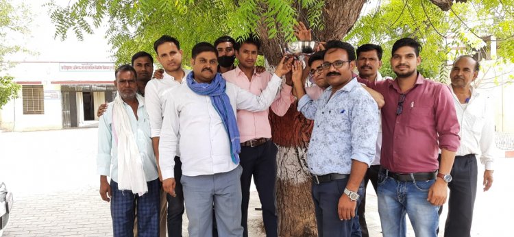 पक्षियों के लिए पानी के परिंडे लगाएं
