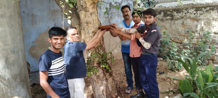 इस भरी गर्मी मे बेजुबानो का सहारा बने स्काउट