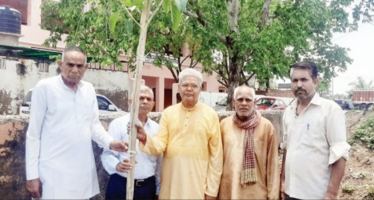 आचार्य समूह के पंडित जनों द्वारा ग्राम बाढ़ देवरी मानसरोवर में वर्क्षारोपन किया