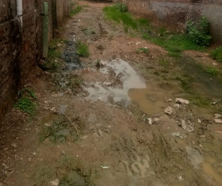 चौथ का बरवाड़ा के गांव बांसडा में रास्ते में कीचड़ गंदगी से हुये हाल बेहाल