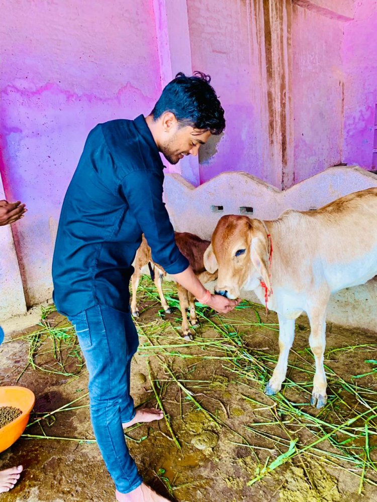 गौ सेवक पवन जाट के नेतृत्व मैं चल रहा गोवंश बचाओ महा अभियान