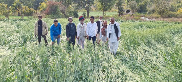 फसल खराबे की गिरदावरी करा किसानों को मुआवजा दे सरकार: विधायक आक्या।