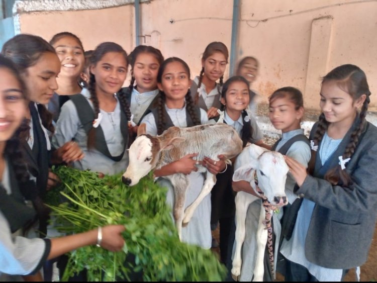 गो अलिंगन दिवस पर आदर्श विद्या निकेतन माध्यमिक विद्यालय कपासन के व भैया व बहिन व आर्चाय जी गण गौशाला पधारे एवं गौ घन को हरे चार का भोग लगाकर गौ माता के बच्चे को गले लगाकर