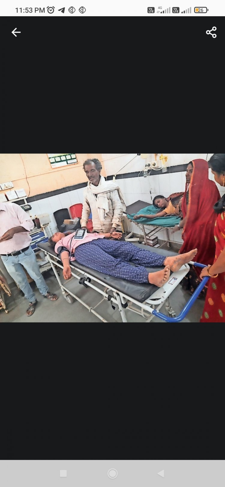 मधुमक्खियों का हमला: फसल काट रहे परिवार  पर मधुमक्खियों का हमला, 5 घायल
