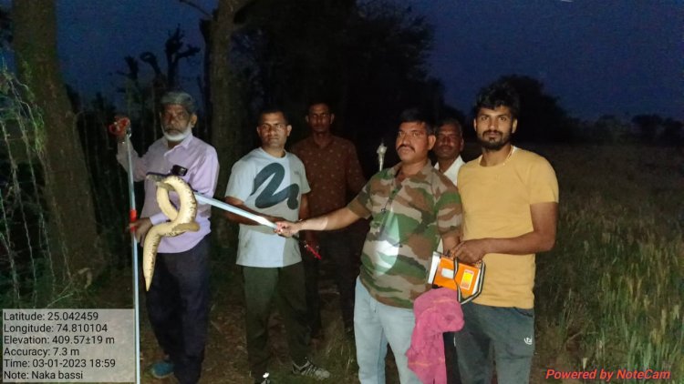 मेघपुरा मे एक खेत पर करीब 3 फ़ीट लम्बे सांप को किया रेसक्यू।