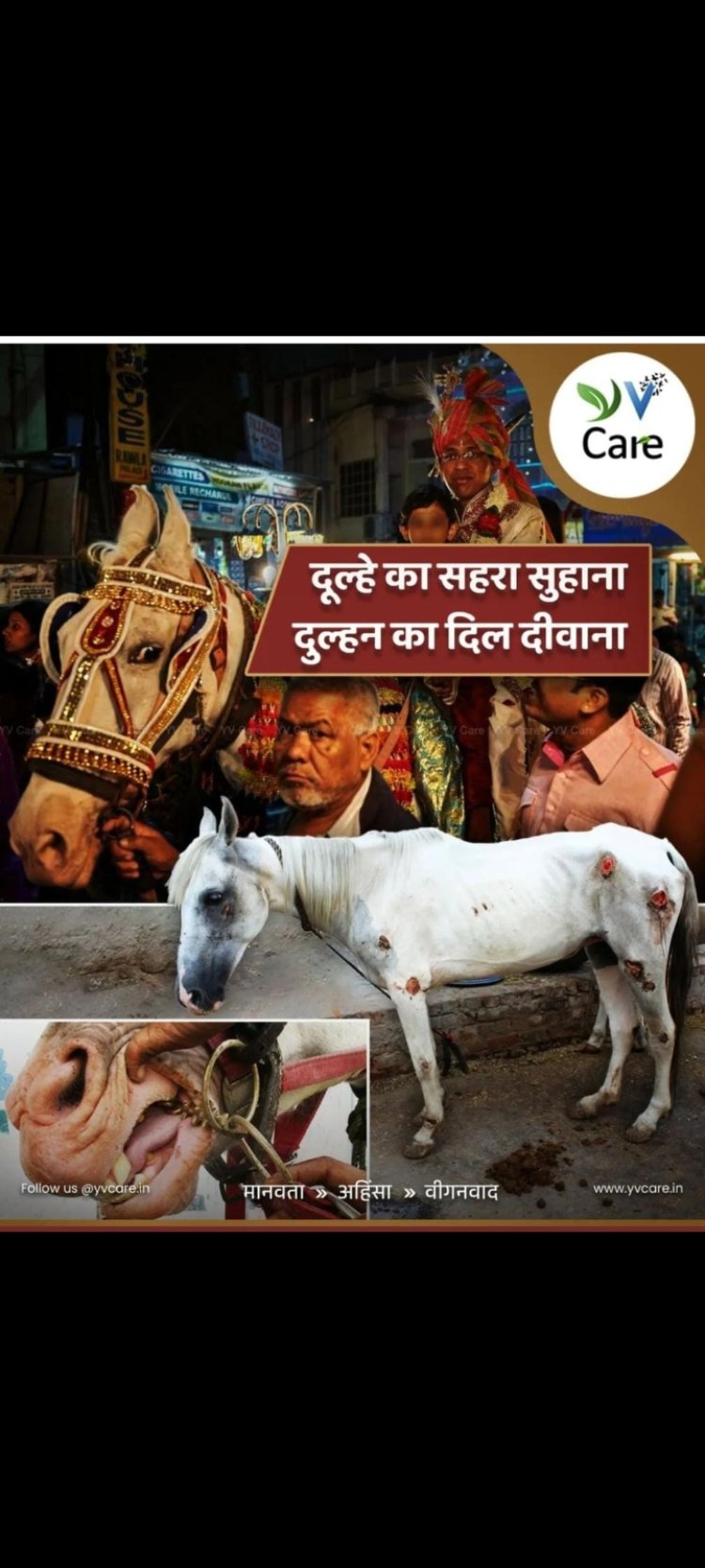 हम धूम धड़ाके से शादी तो कर लेते हैं लेकिन इस बात पर जरा भी ध्यान नहीं देते हैं की हमारी अंधी कामना किसी पशु को अपना शिकार बना रही है