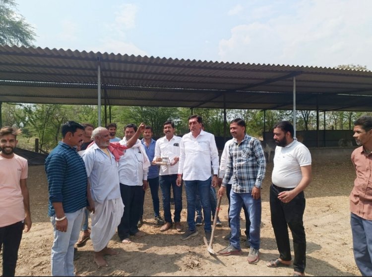 तुर्किया खुर्द में बनेगा गायों के लिए आश्रय स्थल: 15 लाख रुपए की लागत से होगा निर्माण, भूमि पूजन के साथ निर्माण कार्य शुरू