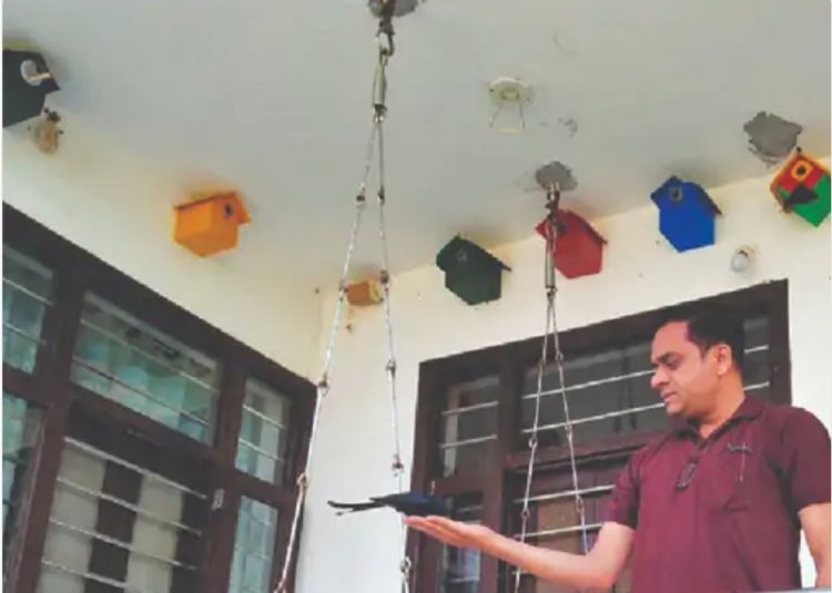*घर को बनाया बर्ड हाउस, हथेली पर चुगते हैं दाना: प्लाइवुड से बने बर्ड हाउस में 35 पक्षियों का बसेरा, रोज 400 से ज्यादा पक्षी आते हैं।*