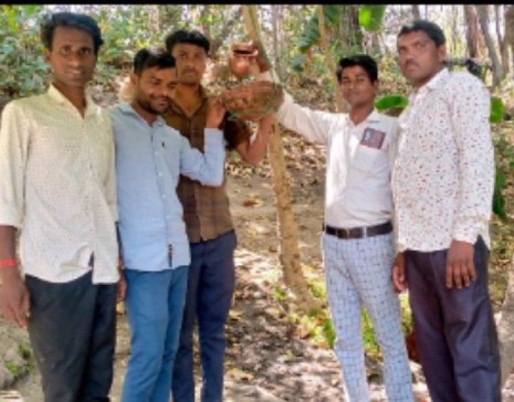 बुल बुला महादेव मंदिर पर गर्मियों में असहाय पक्षियों के पानी की व्यवस्था के लिए घर के छज्जे और पेड़ों पर बांधे परिंडे