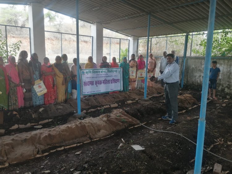 संस्थागत प्रशिक्षण का किया आयोजन