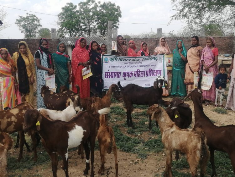 संस्थागत प्रशिक्षण का किया आयोजन
