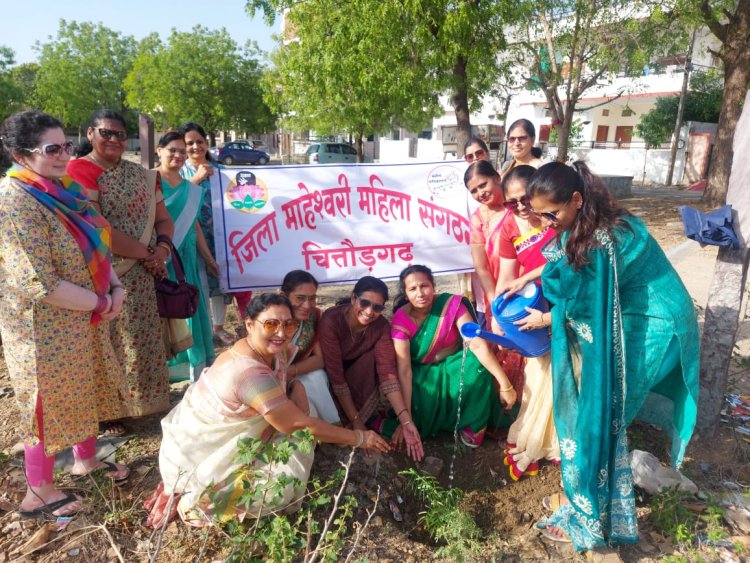 जिला माहेश्वरी महिला संगठन चित्तौड़गढ़ द्वारा विश्व पर्यावरण दिवस मनाया गया।