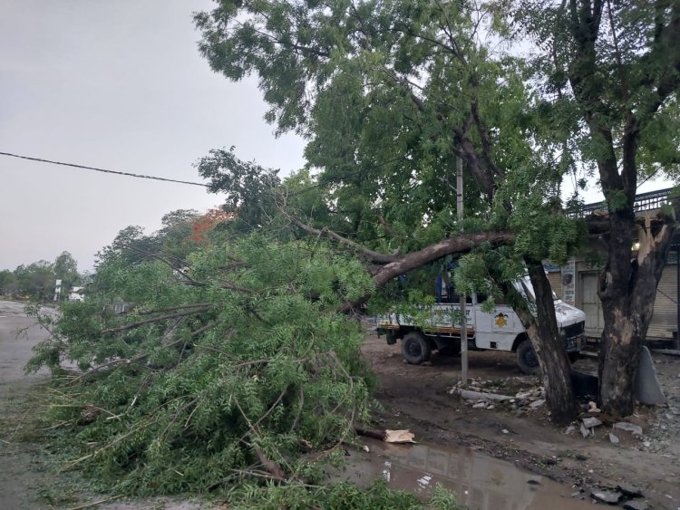 बड़ी सादड़ी में तेज आंधी के साथ मूसलाधार वर्षा तेज हवाओं से समस्त क्षेत्र बड़ी सादड़ी में बिजली गुल तेज बारिश के साथ 10मिनट, तक ओले गिरे मौसम में आई ठंडक