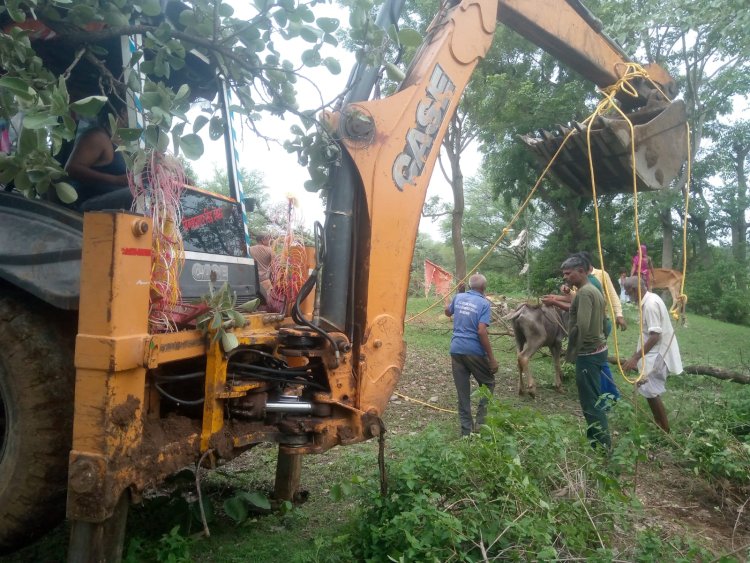 बड़ी सादड़ी के ग्राम सेमल खेड़ा में सूखे कुएं में भैंस गिरने से जेसीबी कि सहायता से बाहर निकाली.... 