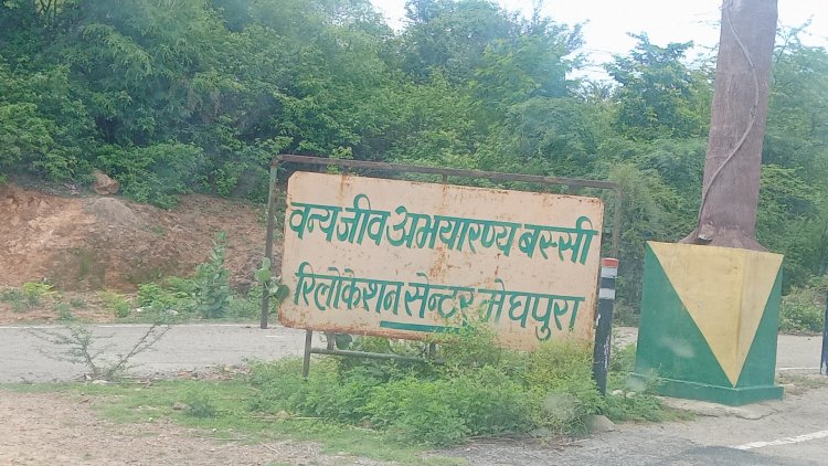 रिश्वत लेने के मामले में एक और फॉरेस्ट कर्मचारी शामिल:हुआ फरार, रेंजर सलीम के कोटा घर की नहीं ले पाए तलाशी किया सस्पेंड 