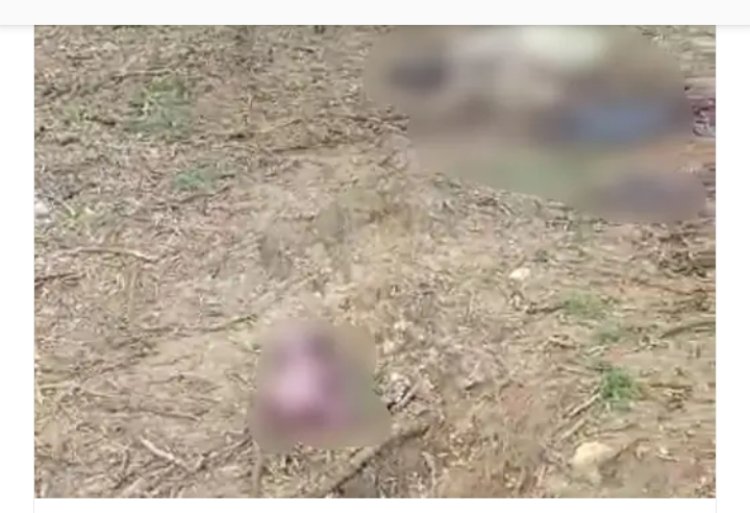 आवां में कटे मिले गर्भवती नील गाय के सिर पैर पास में भ्रुण भी पड़ा मिला आवां सरपंच व वार्ड पंचों ने कि शिकारियो के खिलाफ कार्रवाई कि मागं