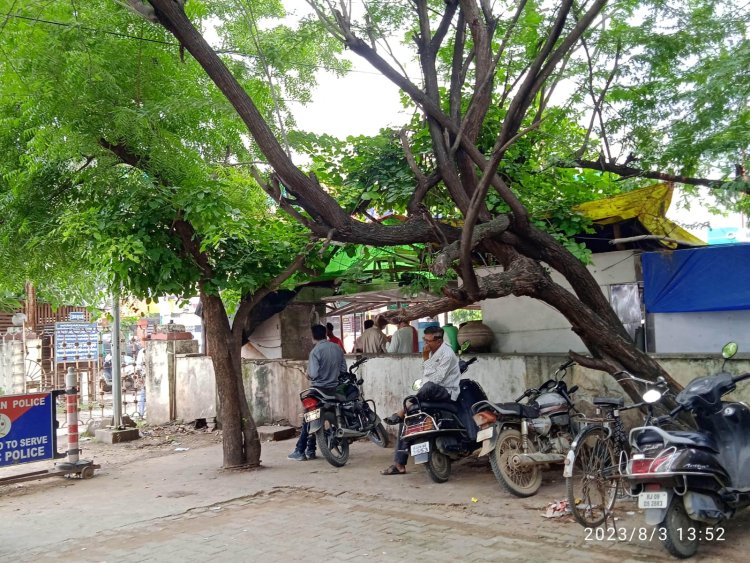 एसपी ऑफिस के पास बबूल का पेड़ बन रहा आमजन के लिए दुर्घटना का कारण,कभी भी हो सकती है बड़ी जनहानि, जिम्मेदार बेखबर।