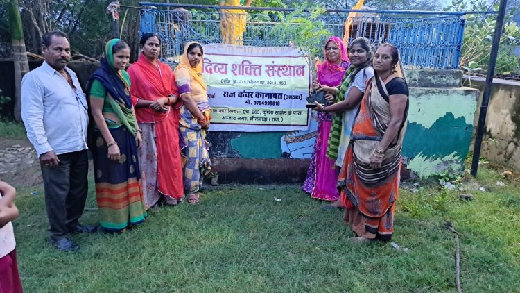 दिव्य  शक्ति संस्थान ने भीलवाडा के ओमनगर मे 31 प्रकार के पौधो का पौधारोपण किया और पौधो का वितरण किया