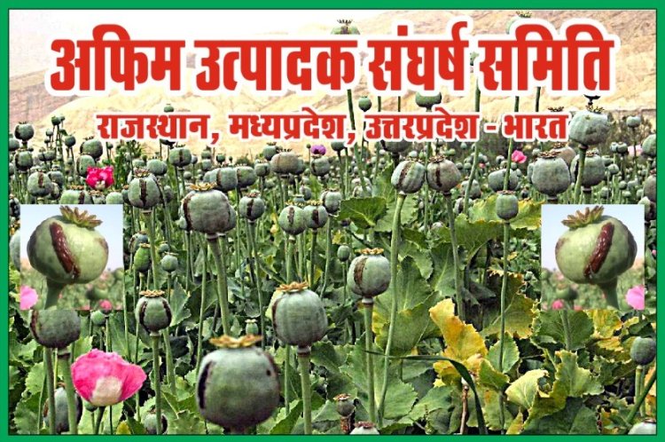 अफीम किसान सिपीएस पद्धति के विरोध को लेकर प्रतापगढ़ जिला कलेक्टर को सौंपेंगे ज्ञापन