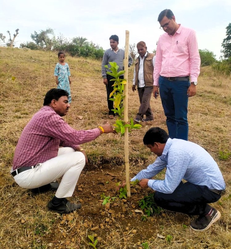 जनजातीय किसानों को सिखाया जैविक खाद वर्मी कंपोस्ट बनाना।