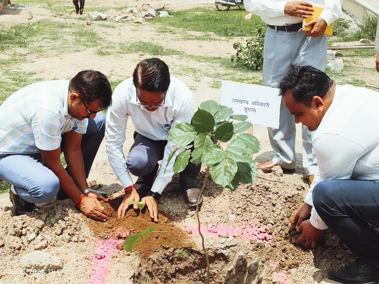 हरित चित्तौड़' अभियान के तहत डूंगला में ब्लॉक स्तरीय वृक्षारोप कार्यशाला का आयोजन      जिले में विभिन्न स्थानों पर पौधारोपण  