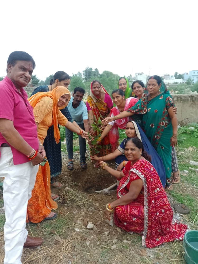 जैन दिवाकर महिला कमल गौ सेवा समिति महिलाएं भी आगे आई हरियालो राजस्थान पौधारोपण कार्यक्रम में