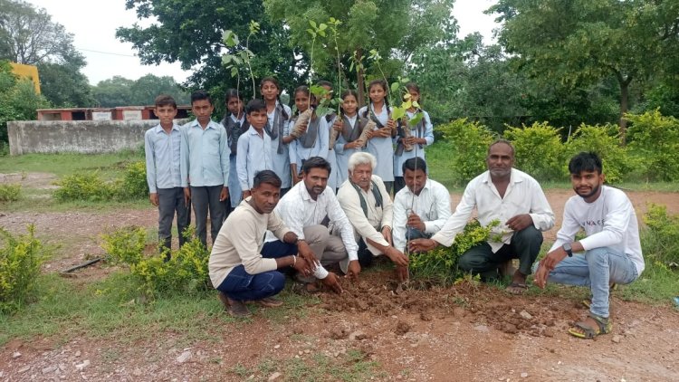 बम्बोरा, विद्यालय परिसर में किया पौधारोपण
