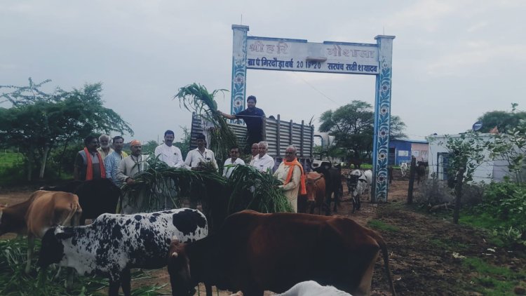 गो सेवा कर मनाया जन्मदिवस गो प्रसादम् परिवार के सम्मानित सदस्य
