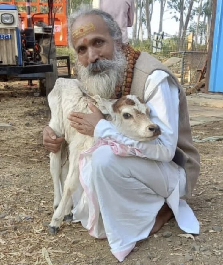 गो कल्याण एवं रक्षार्थ सुंदरकांड पाठ भादवामाता में 12 फरवरी को
